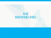 人教版高中生物必修1第4章细胞的物质输入和输出课件