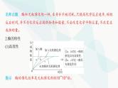 人教版高中生物必修1第5章细胞的能量供应和利用课件