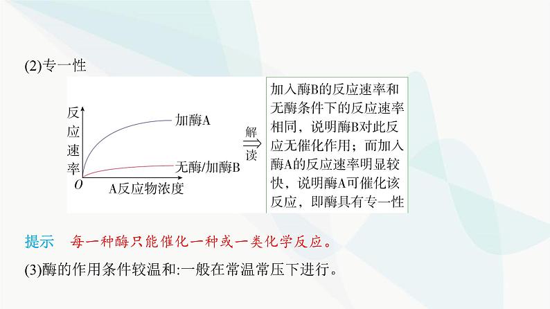 人教版高中生物必修1第5章细胞的能量供应和利用课件第4页