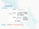 人教版高中生物必修1第5章细胞的能量供应和利用课件
