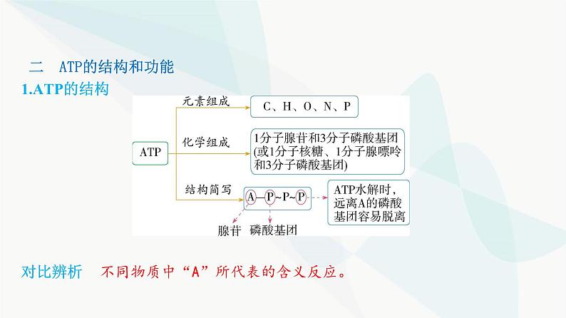 人教版高中生物必修1第5章细胞的能量供应和利用课件第5页