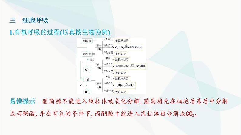 人教版高中生物必修1第5章细胞的能量供应和利用课件第7页