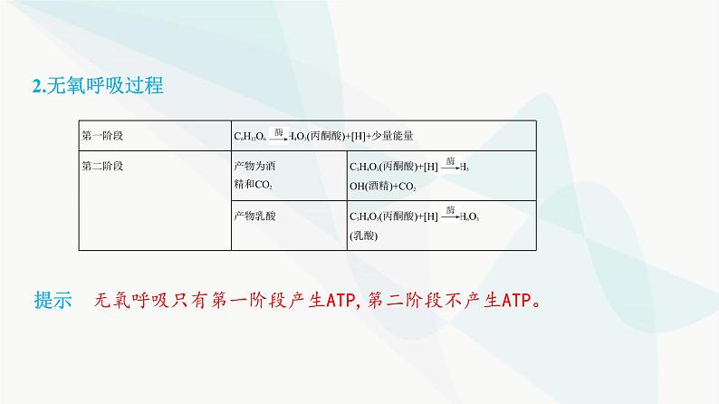 人教版高中生物必修1第5章细胞的能量供应和利用课件第8页