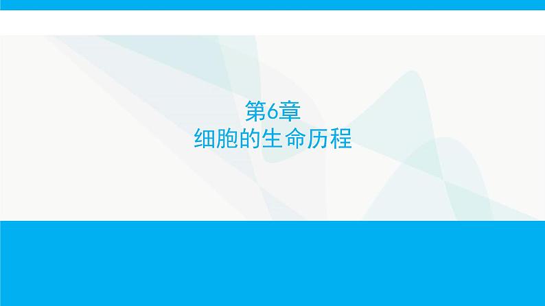 人教版高中生物必修1第6章细胞的生命历程课件第1页