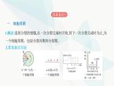 人教版高中生物必修1第6章细胞的生命历程课件