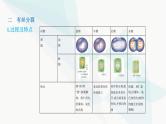 人教版高中生物必修1第6章细胞的生命历程课件
