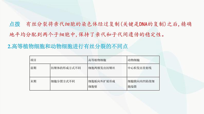 人教版高中生物必修1第6章细胞的生命历程课件第5页