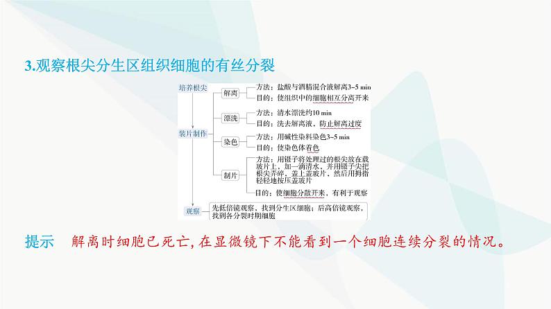 人教版高中生物必修1第6章细胞的生命历程课件第7页