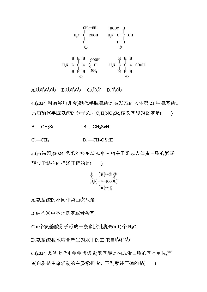 人教版高中生物必修1第2章组成细胞的分子第4节蛋白质是生命活动的主要承担者基础练含答案第2页