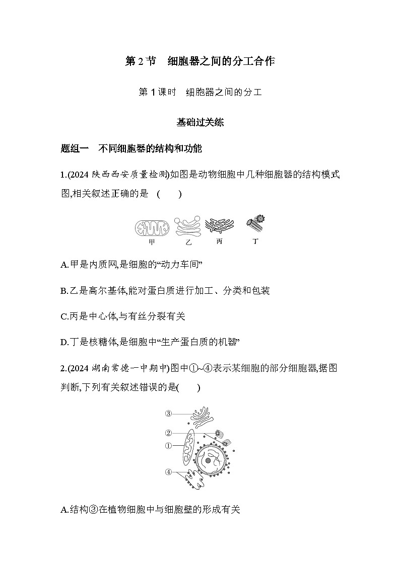 人教版高中生物必修1第3章细胞的基本结构第1课时细胞器之间的分工基础练含答案第1页