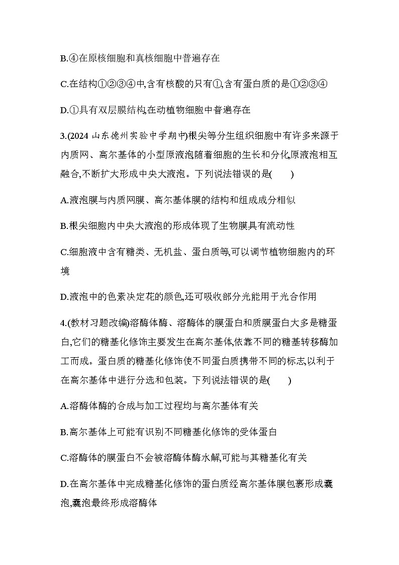 人教版高中生物必修1第3章细胞的基本结构第1课时细胞器之间的分工基础练含答案第2页