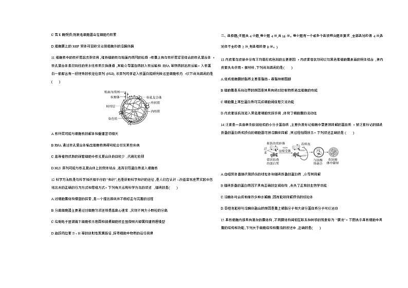 人教版高中生物必修1第3章细胞的基本结构基础练含答案第3页