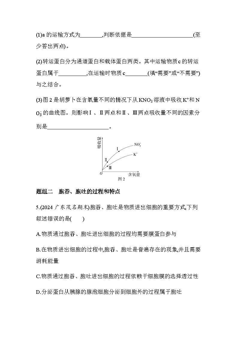 人教版高中生物必修1第4章细胞的物质输入和输出第2节主动运输与胞吞、胞吐基础练含答案第3页