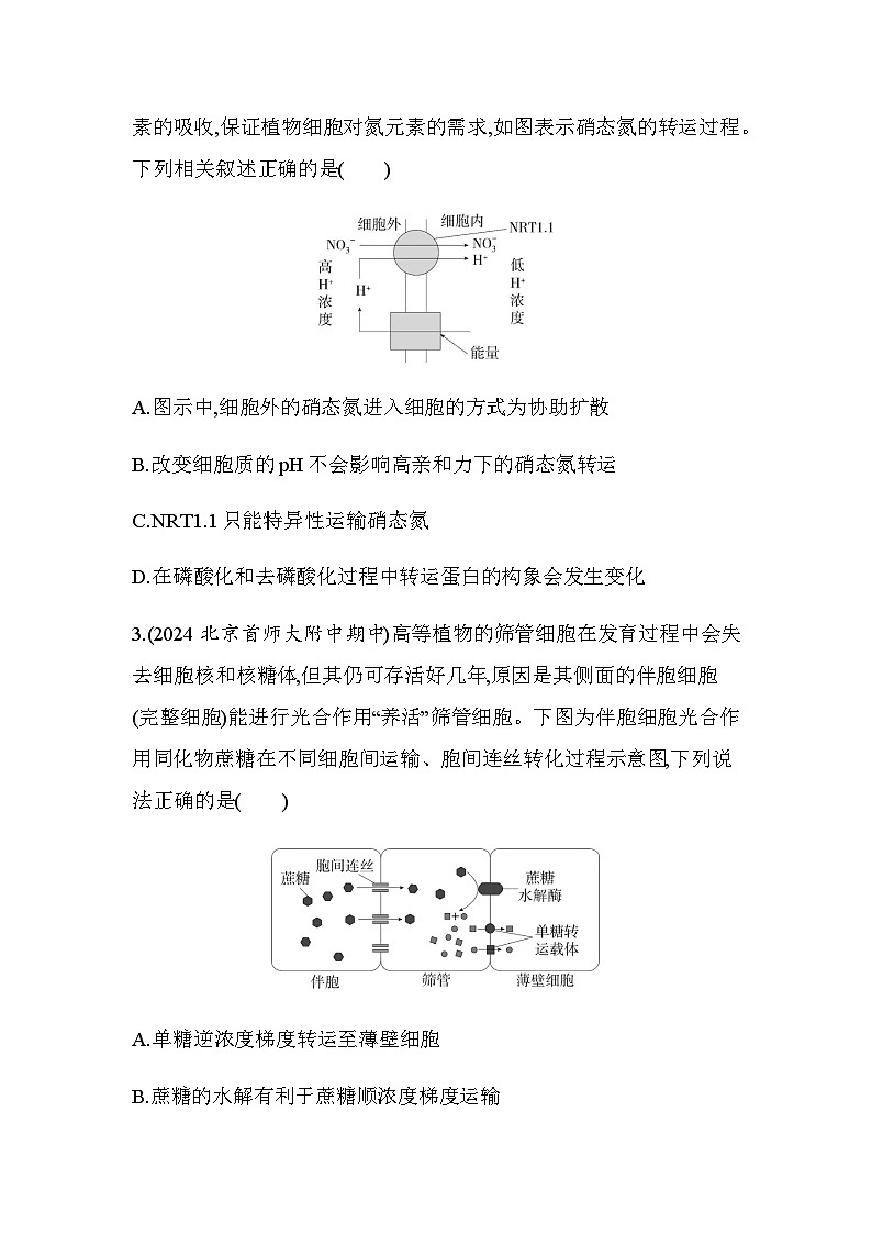 人教版高中生物必修1第4章细胞的物质输入和输出题型整合练物质跨膜运输的综合判断与分析基础练含答案02