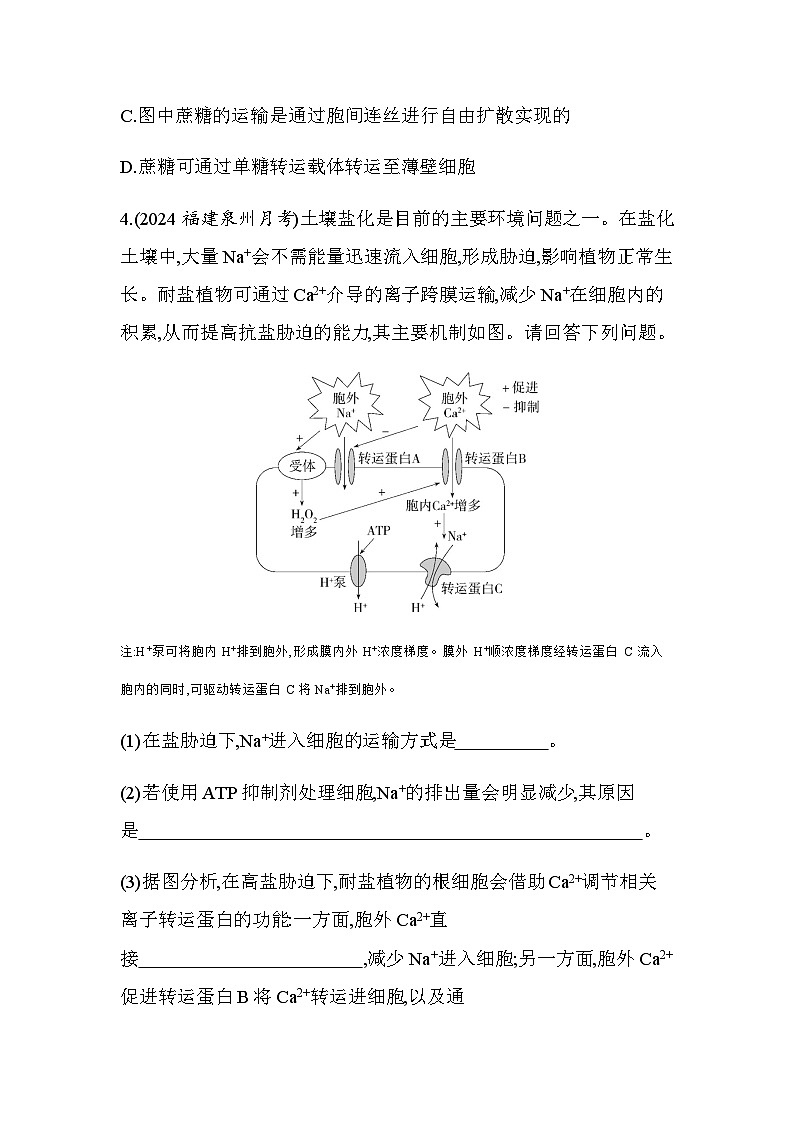 人教版高中生物必修1第4章细胞的物质输入和输出题型整合练物质跨膜运输的综合判断与分析基础练含答案03