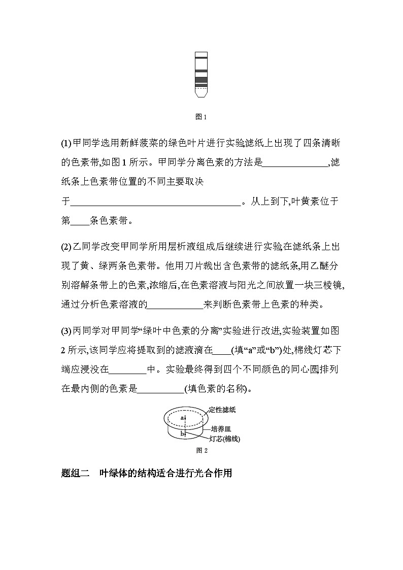 人教版高中生物必修1第5章细胞的能量供应和利用第1课时捕获光能的色素和结构基础练含答案03