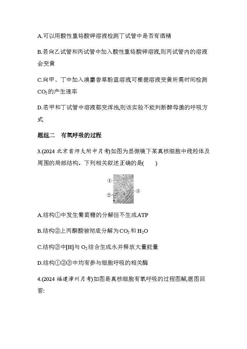 人教版高中生物必修1第5章细胞的能量供应和利用第1课时探究酵母菌细胞呼吸的方式有氧呼吸基础练含答案第2页