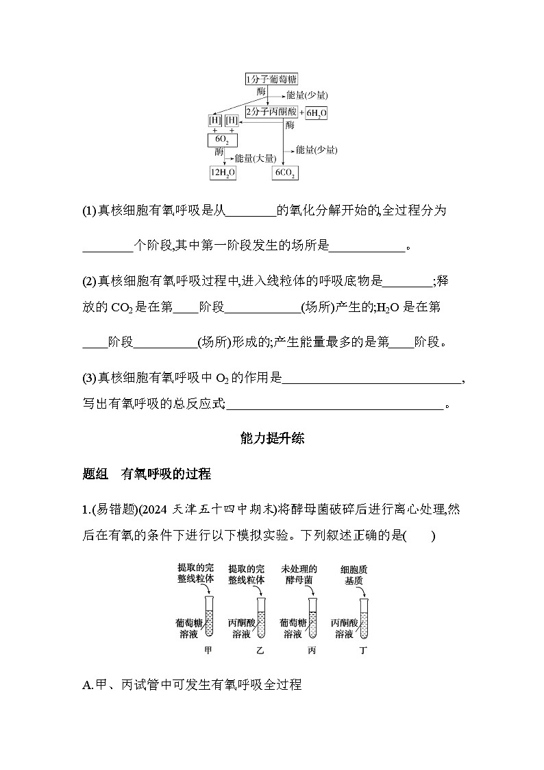 人教版高中生物必修1第5章细胞的能量供应和利用第1课时探究酵母菌细胞呼吸的方式有氧呼吸基础练含答案第3页