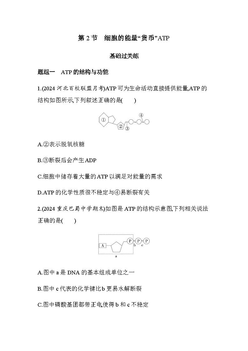 人教版高中生物必修1第5章细胞的能量供应和利用第2节细胞的能量“货币”ATP基础练含答案第1页