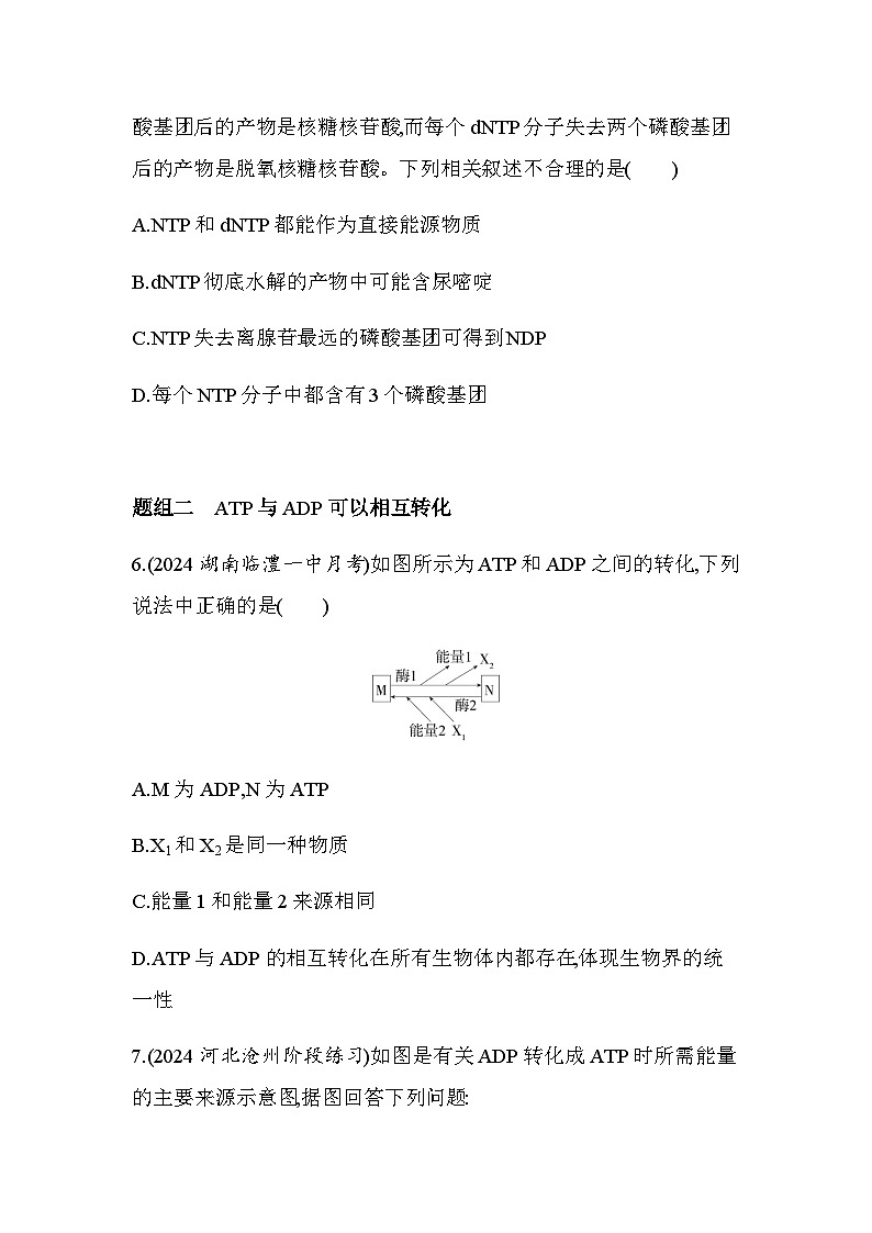 人教版高中生物必修1第5章细胞的能量供应和利用第2节细胞的能量“货币”ATP基础练含答案第3页