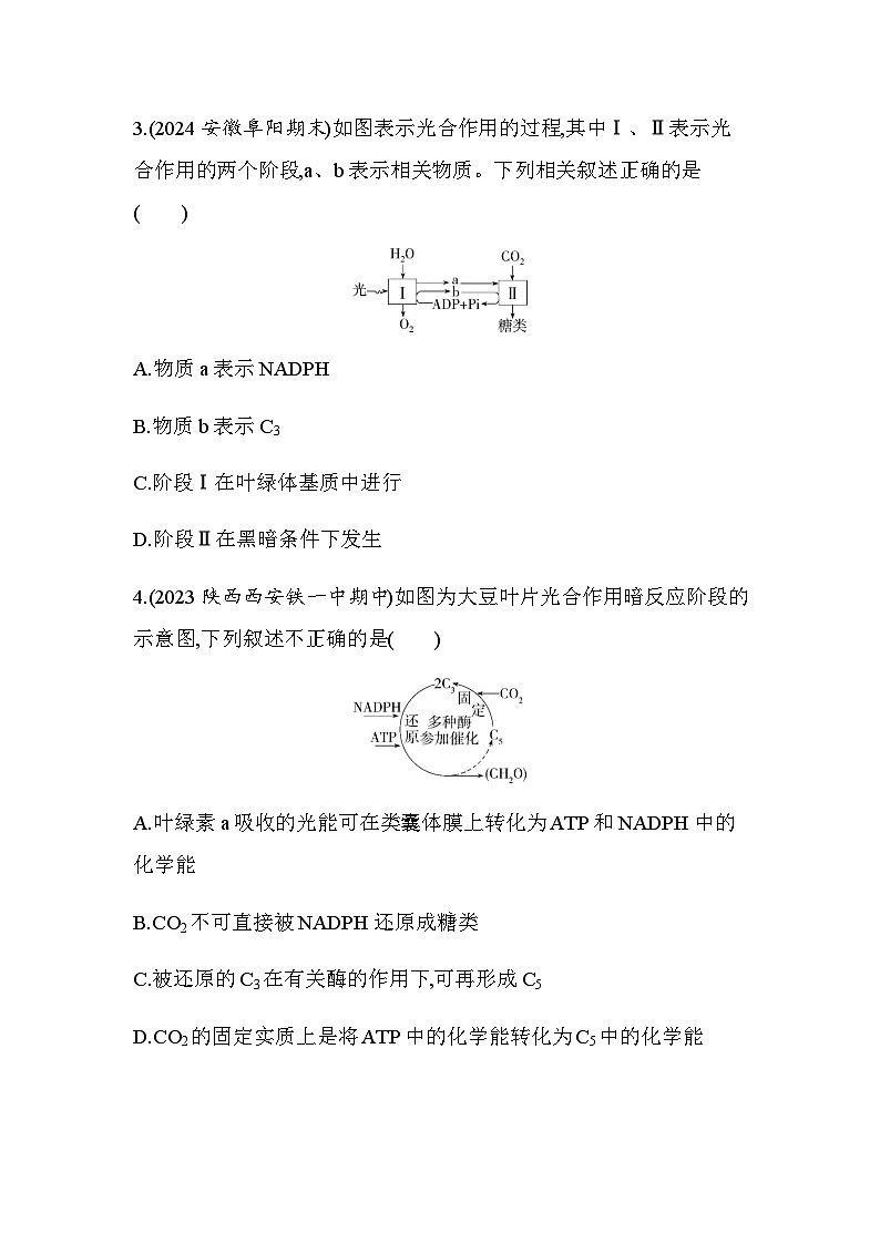 人教版高中生物必修1第5章细胞的能量供应和利用第2课时光合作用的原理和应用基础练含答案第2页