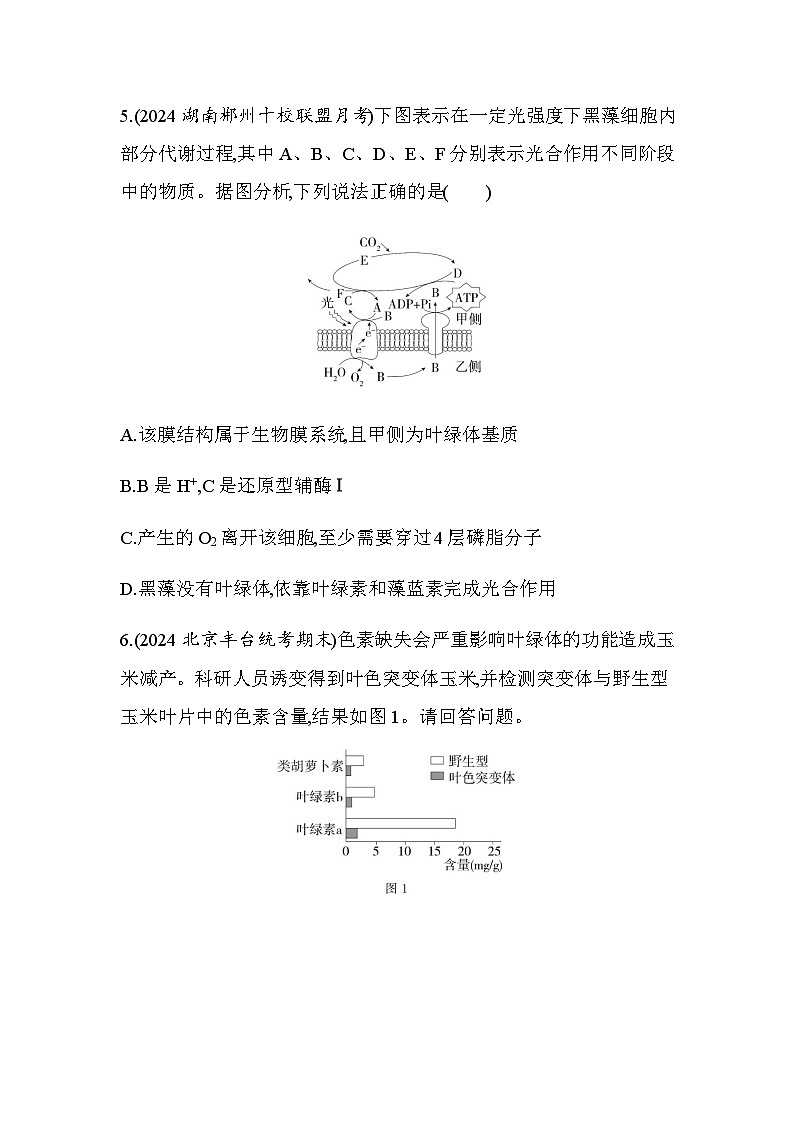 人教版高中生物必修1第5章细胞的能量供应和利用第2课时光合作用的原理和应用基础练含答案第3页