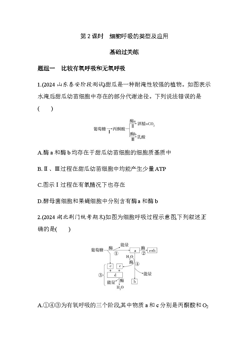 人教版高中生物必修1第5章细胞的能量供应和利用第2课时细胞呼吸的类型及应用基础练含答案第1页