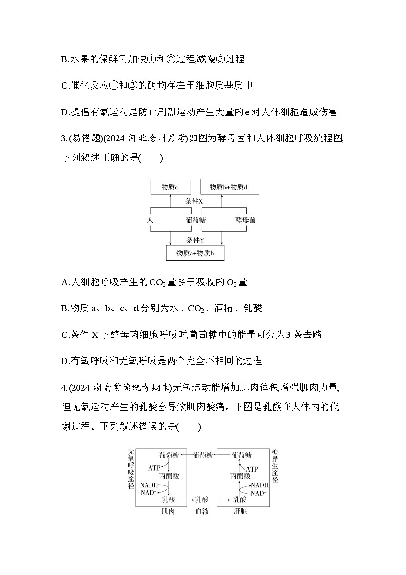 人教版高中生物必修1第5章细胞的能量供应和利用第2课时细胞呼吸的类型及应用基础练含答案第2页
