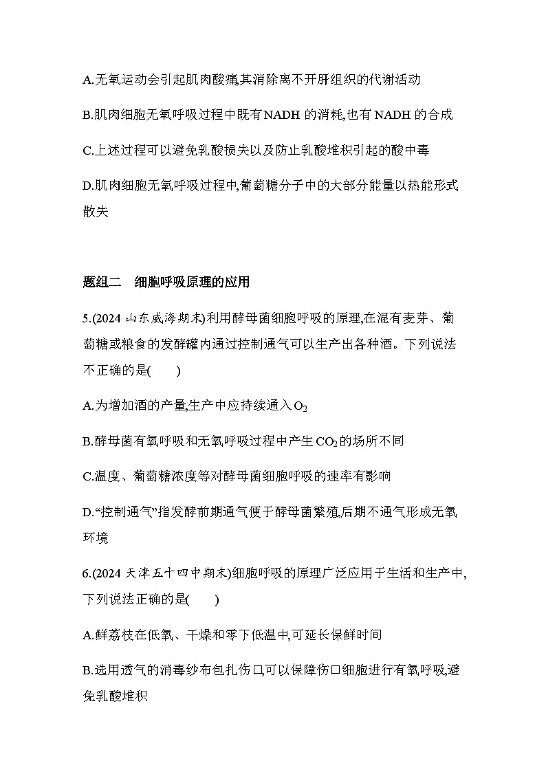 人教版高中生物必修1第5章细胞的能量供应和利用第2课时细胞呼吸的类型及应用基础练含答案第3页