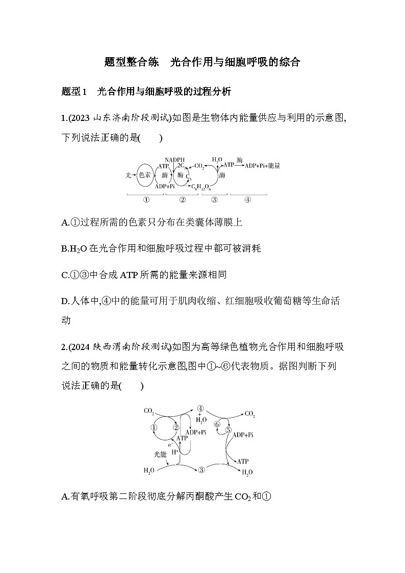 人教版高中生物必修1第5章细胞的能量供应和利用题型整合练光合作用与细胞呼吸的综合基础练含答案第1页
