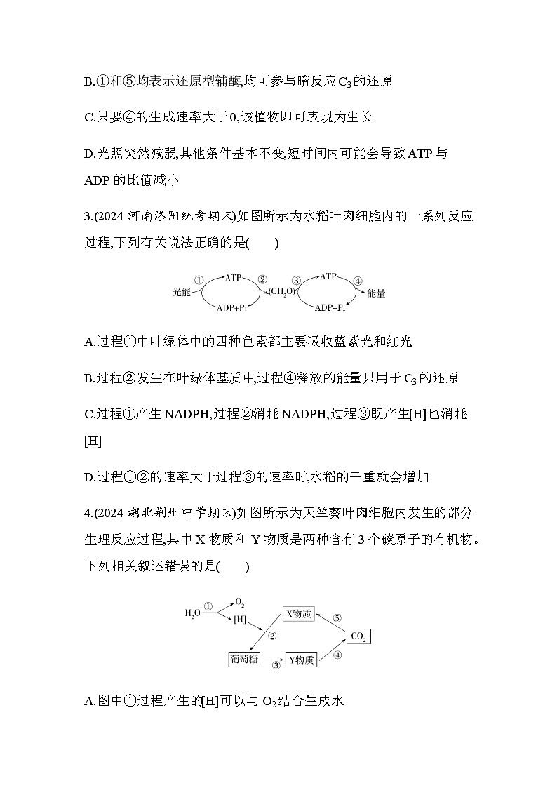 人教版高中生物必修1第5章细胞的能量供应和利用题型整合练光合作用与细胞呼吸的综合基础练含答案第2页