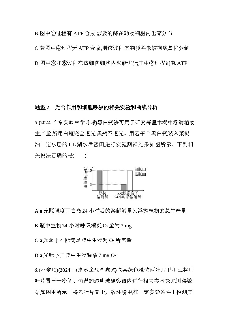 人教版高中生物必修1第5章细胞的能量供应和利用题型整合练光合作用与细胞呼吸的综合基础练含答案第3页