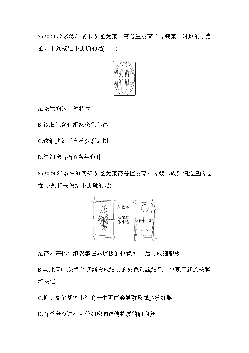 人教版高中生物必修1第6章细胞的生命历程第1课时细胞增殖及有丝分裂基础练含答案03