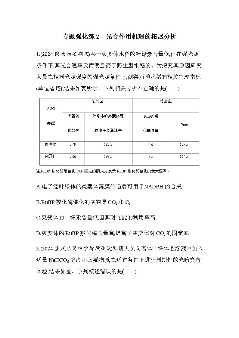 人教版高中生物必修1第5章细胞的能量供应和利用专题强化练2光合作用机理的拓展分析含答案第1页