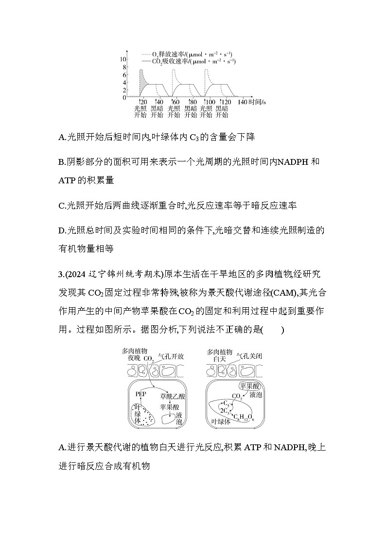 人教版高中生物必修1第5章细胞的能量供应和利用专题强化练2光合作用机理的拓展分析含答案第2页