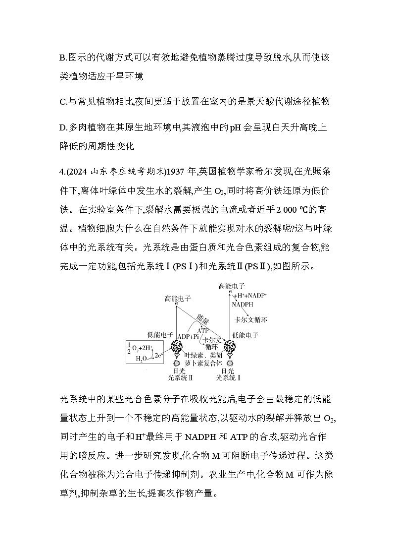 人教版高中生物必修1第5章细胞的能量供应和利用专题强化练2光合作用机理的拓展分析含答案第3页