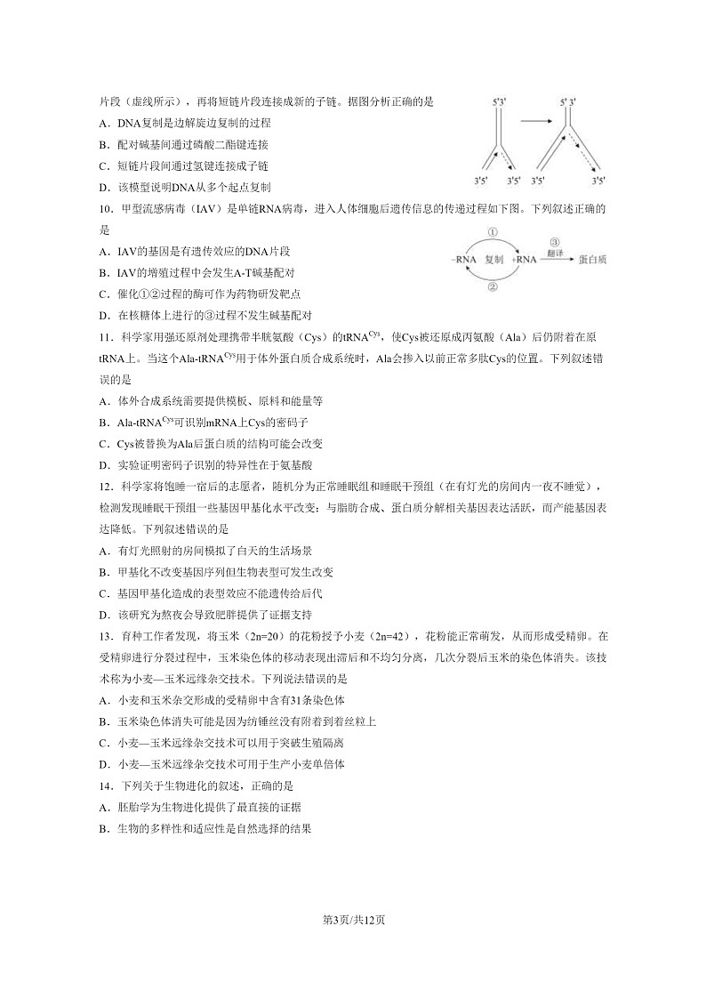 [生物]2023北京西城高一下学期期末试卷及答案03