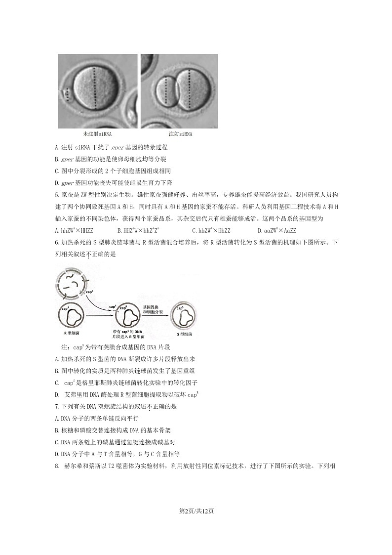 [生物]2023北京朝阳高一下学期期末试卷及答案02