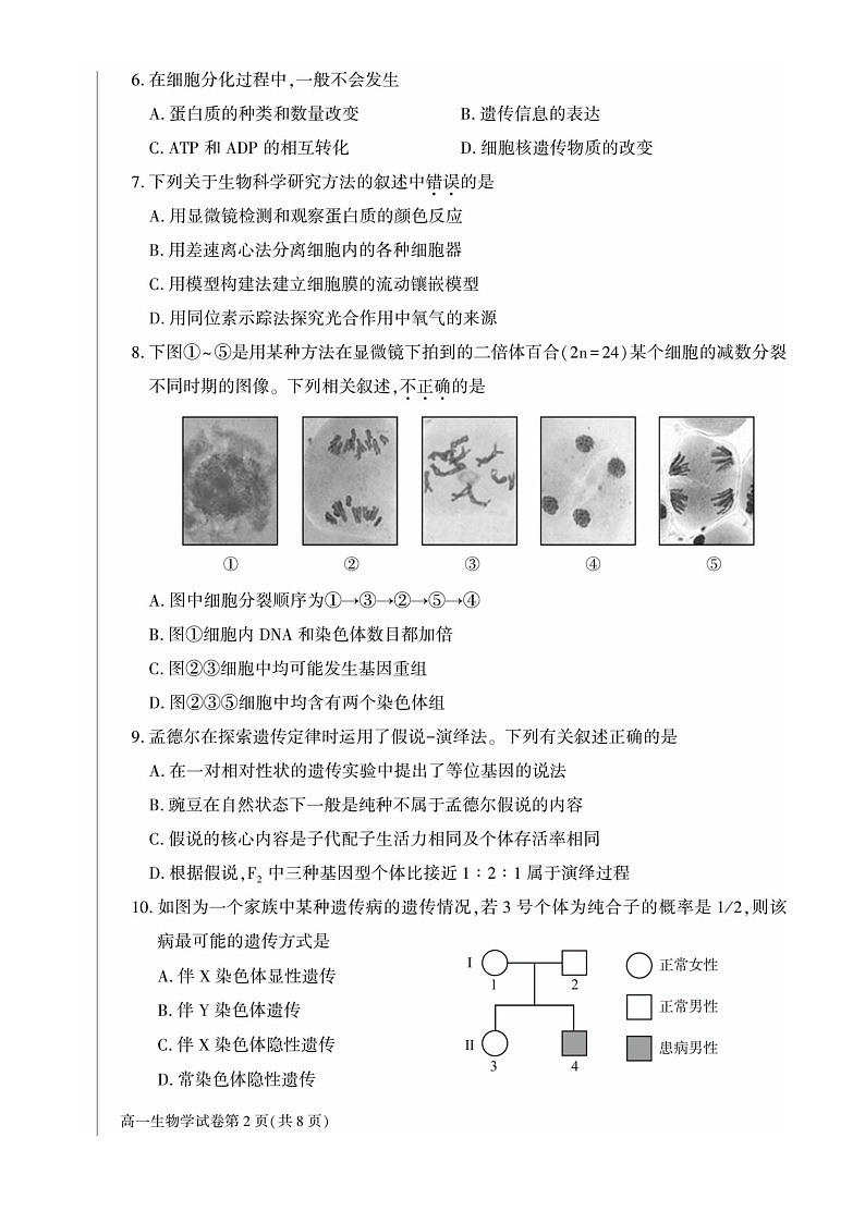 [生物]2022北京大兴高一下学期期末试卷02