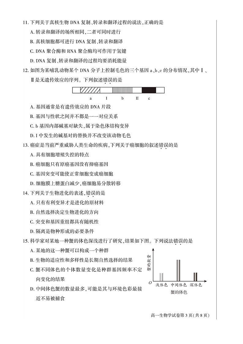 [生物]2022北京大兴高一下学期期末试卷03