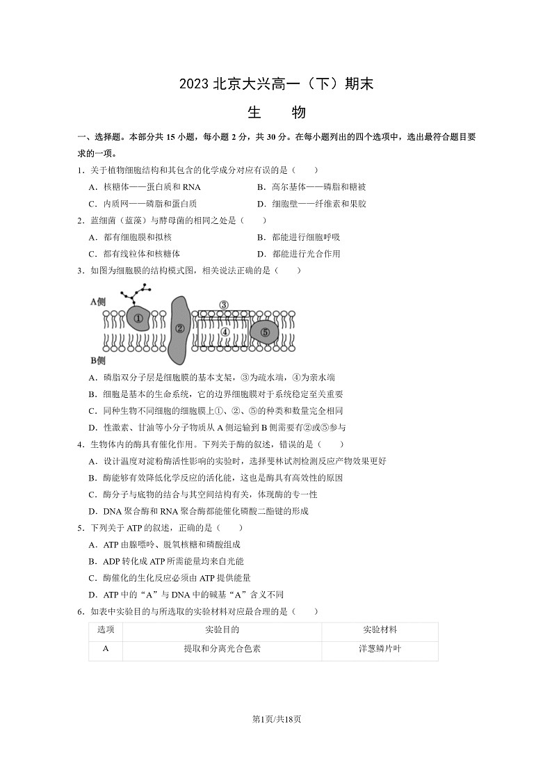 [生物]2023北京大兴高一下学期期末试卷及答案01