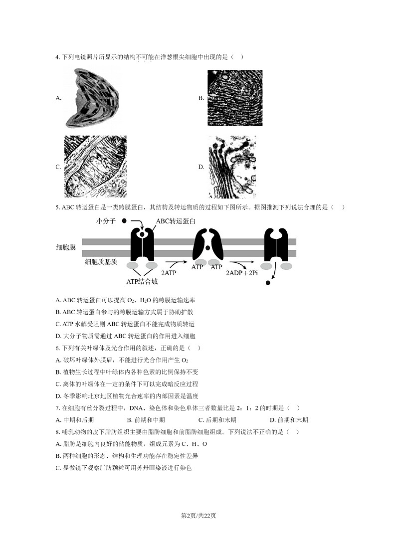 [生物]2023北京丰台高一下学期期末试卷及答案02