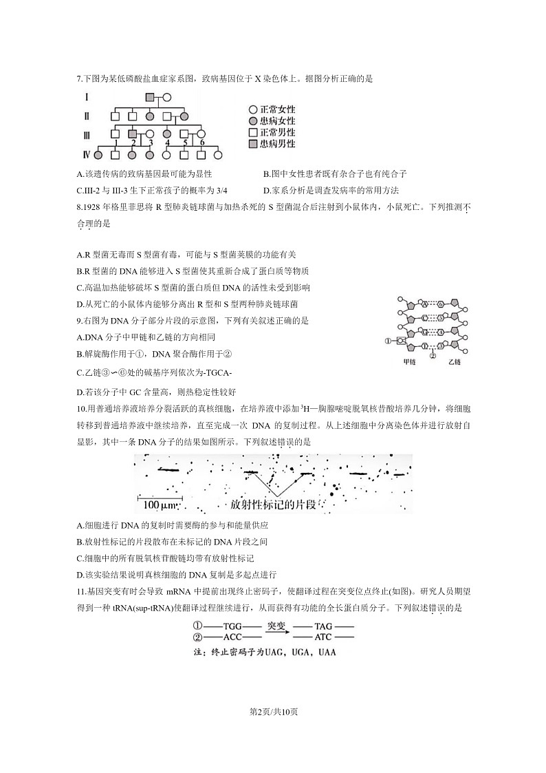 [生物]2023北京东城高一下学期期末试卷及答案02