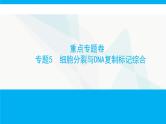 人教版高中生物必修2重点专题卷5细胞分裂与DNA复制标记综合课件