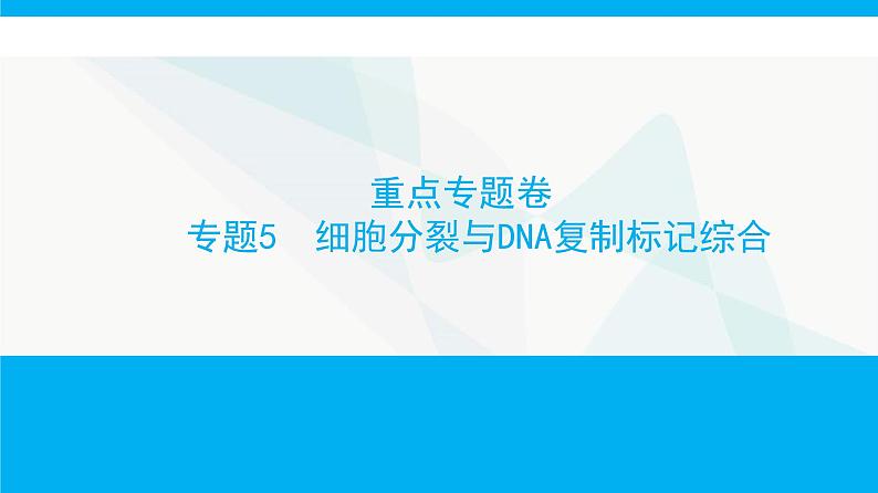 人教版高中生物必修2重点专题卷5细胞分裂与DNA复制标记综合课件01