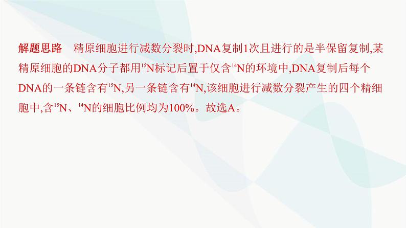 人教版高中生物必修2重点专题卷5细胞分裂与DNA复制标记综合课件03