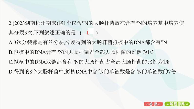 人教版高中生物必修2重点专题卷5细胞分裂与DNA复制标记综合课件04