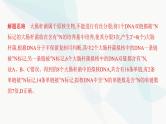 人教版高中生物必修2重点专题卷5细胞分裂与DNA复制标记综合课件