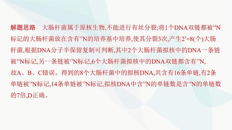 人教版高中生物必修2重点专题卷5细胞分裂与DNA复制标记综合课件05