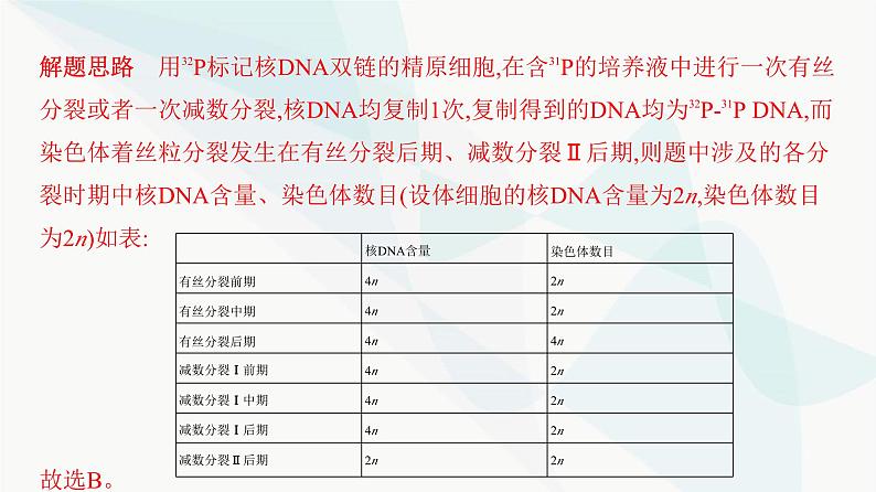 人教版高中生物必修2重点专题卷5细胞分裂与DNA复制标记综合课件07